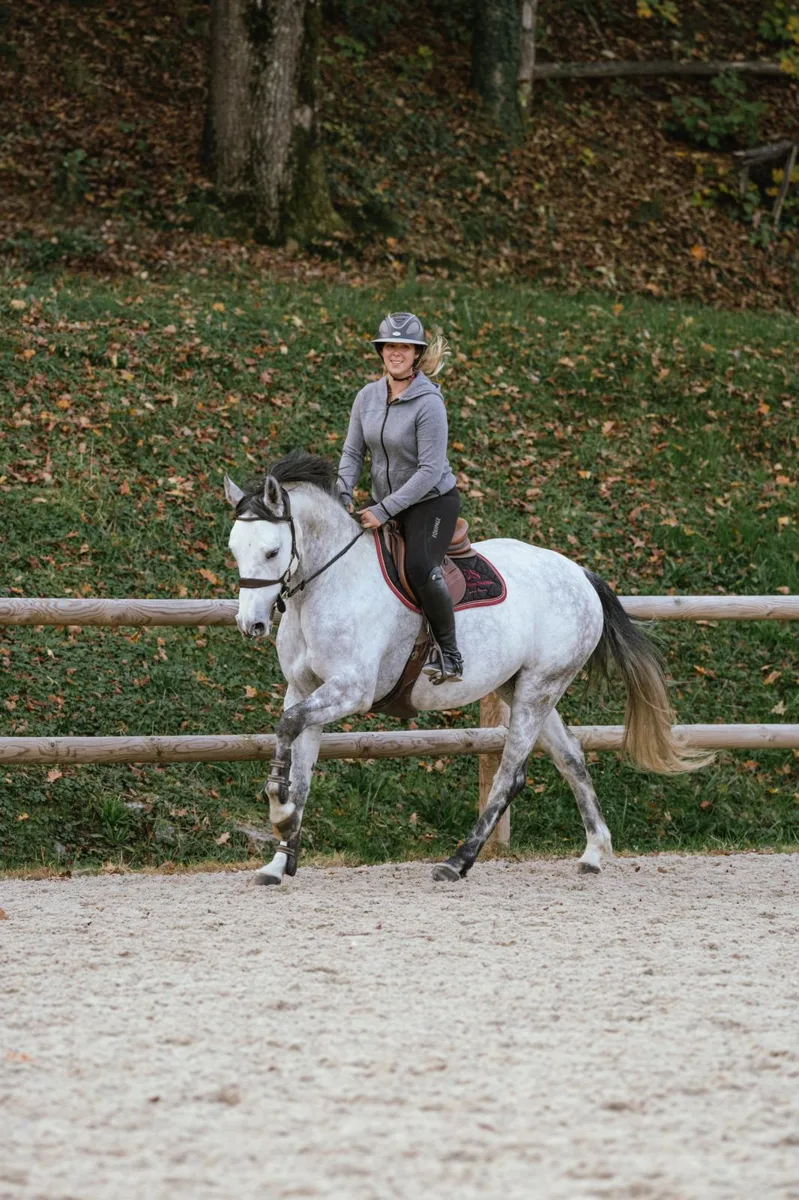 Planning carrière & manège