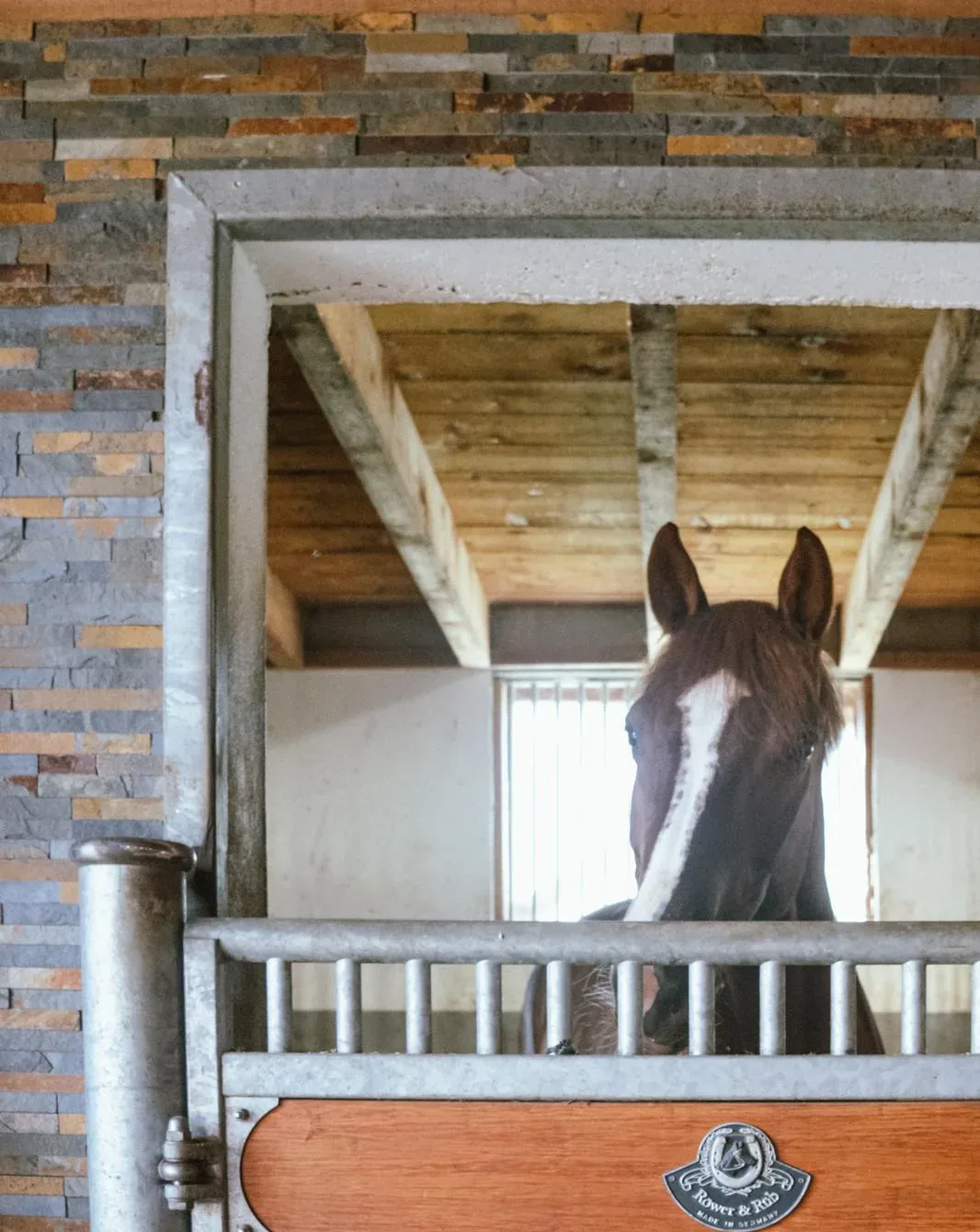 Chevaux